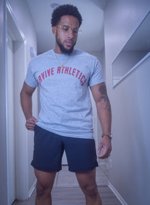 VINTAGE ARCH T-SHIRT (GREY)